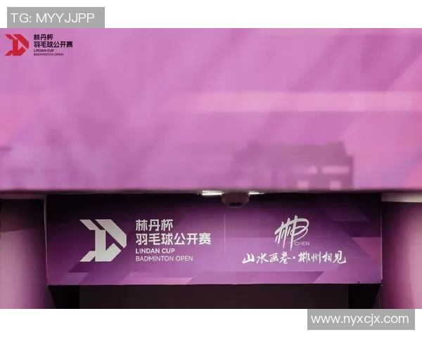 武汉羽毛球队的蜕变与崛起：冠军赛背后的奋斗与坚持