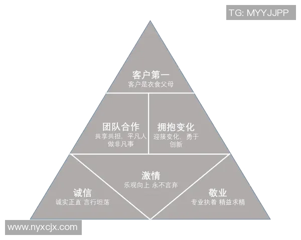上海羽毛球队在杯赛中的团队协作表现分析与启示